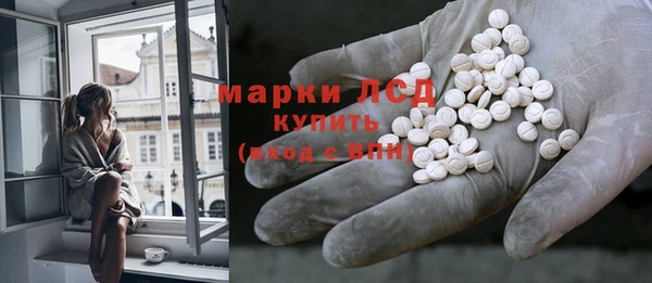 гидра Алексеевка