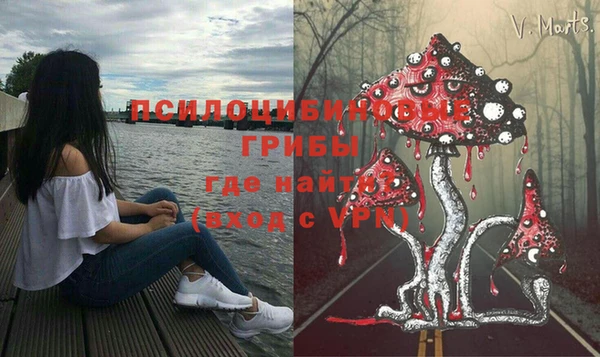 Альфа ПВП Алексин